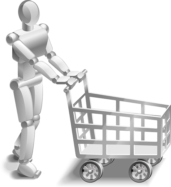Shopping Robot 
